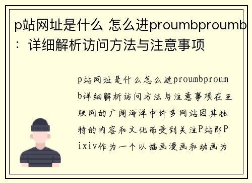 p站网址是什么 怎么进proumbproumb：详细解析访问方法与注意事项